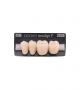 NEO LIGN P TOOTH POST 3G4 LOWER A1 4 pc