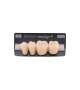 NEO LIGN P TOOTH POST 3G4 LOWER A2 4 pc