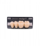 NEO LIGN P TOOTH POST 3G4 LOWER A2 4 pc ASST 34, 35, 36, 37