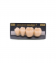 NEO LIGN P TOOTH POST 3G4 LOWER A3 4 pc