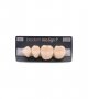 NEO LIGN P TOOTH POST 3G4 LOWER B2 4 pc