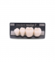 NEO LIGN P TOOTH POST 3G4 LOWER BL3 4 pc ASST 34, 35, 36, 37
