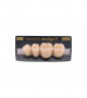 NEO LIGN P TOOTH POST 3G4 LOWER C20 4 pc ASST 34, 35, 36, 37