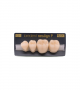 NEO LIGN P TOOTH POST 3G4 LOWER C20 4 pc