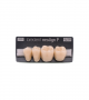 NEO LIGN P TOOTH POST 3G4 LOWER D3 4 pc ASST 34, 35, 36, 37