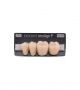 NEO LIGN P TOOTH POST 3G4 LOWER D3 4 pc