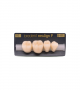 NEO LIGN P TOOTH POST 4G3 LOWER A2 4 pc ASST 44, 45, 46, 47