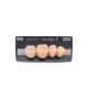 NEO LIGN P TOOTH POST 4G3 LOWER A3 4 pc ASST 44, 45, 46, 47