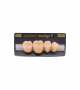 NEO LIGN P TOOTH POST 4G3 LOWER A3.5 4 pc ASST 44, 45, 46, 47
