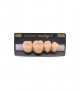 NEO LIGN P TOOTH POST 4G3 LOWER A3.5 4 pc