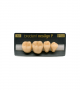 NEO LIGN P TOOTH POST 4G3 LOWER A4 4 pc