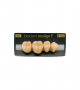 NEO LIGN P TOOTH POST 4G3 LOWER A4 4 pc ASST 44, 45, 46, 47