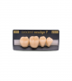 NEO LIGN P TOOTH POST 4G3 LOWER B3 4 pc ASST 44, 45, 46, 47