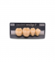 NEO LIGN P TOOTH POST 4G3 LOWER B4 4 pc