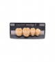 NEO LIGN P TOOTH POST 4G3 LOWER B4 4 pc ASST 44, 45, 46, 47