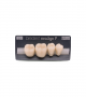 NEO LIGN P TOOTH POST 4G3 LOWER C1 4 pc ASST 44, 45, 46, 47