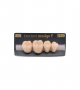 NEO LIGN P TOOTH POST 4G3 LOWER C2 4 pc ASST 44, 45, 46, 47
