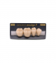 NEO LIGN P TOOTH POST 4G3 LOWER C3 4 pc ASST 44, 45, 46, 47