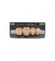 NEO LIGN P TOOTH POST 4G3 LOWER C4 4 pc ASST 44, 45, 46, 47