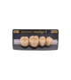 NEO LIGN P TOOTH POST 4G3 LOWER C4 4 pc