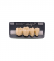 NEO LIGN P TOOTH POST 4G3 LOWER D4 4 pc
