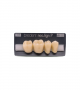NEO LIGN P TOOTH POST 4G3 LOWER D4 4 pc ASST 44, 45, 46, 47