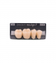 NEO LIGN P TOOTH POST 4G4 LOWER A2 4 pc ASST 44, 45, 46, 47