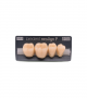 NEO LIGN P TOOTH POST 4G4 LOWER A3.5 4 pc