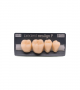 NEO LIGN P TOOTH POST 4G4 LOWER A3.5 4 pc ASST 44, 45, 46, 47