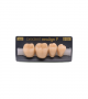NEO LIGN P TOOTH POST 4G4 LOWER A4 4 pc ASST 44, 45, 46, 47