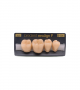 NEO LIGN P TOOTH POST 4G4 LOWER A4 4 pc