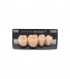 NEO LIGN P TOOTH POST 4G4 LOWER B3 4 pc