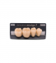 NEO LIGN P TOOTH POST 4G4 LOWER B3 4 pc ASST 44, 45, 46, 47