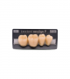 NEO LIGN P TOOTH POST 4G4 LOWER B4 4 pc ASST 44, 45, 46, 47