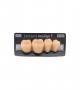 NEO LIGN P TOOTH POST 4G4 LOWER B4 4 pc