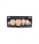 NEO LIGN P TOOTH POST 4G4 LOWER C1 4 pc ASST 44, 45, 46, 47