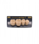 NEO LIGN P TOOTH POST 4G4 LOWER C4 4 pc