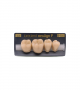 NEO LIGN P TOOTH POST 4G4 LOWER C4 4 pc ASST 44, 45, 46, 47