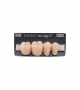 NEO LIGN P TOOTH POST 4G4 LOWER D3 4 pc