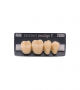 NEO LIGN P TOOTH POST 4G4 LOWER D4 4 pc