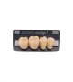 NEO LIGN P TOOTH POST 4G4 LOWER D4 4 pc ASST 44, 45, 46, 47