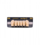 NEO LIGN A TOOTH ANT D38 LOWER A2 6 pc ASST 43, 42, 41, 31, 32, 33