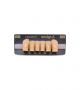 NEO LIGN A TOOTH ANT D38 LOWER A3.5 6 pc ASST 43, 42, 41, 31, 32, 33