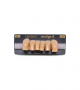 NEO LIGN A TOOTH ANT D38 LOWER A4 6 pc ASST 43, 42, 41, 31, 32, 33