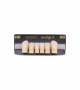 NEO LIGN A TOOTH ANT D38 LOWER B1 6 pc ASST 43, 42, 41, 31, 32, 33