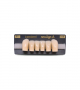 NEO LIGN A TOOTH ANT D38 LOWER B2 6 pc ASST 43, 42, 41, 31, 32, 33
