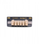 NEO LIGN A TOOTH ANT D38 LOWER C1 6 pc ASST 43, 42, 41, 31, 32, 33