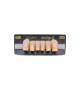 NEO LIGN A TOOTH ANT D38 LOWER C2 6 pc ASST 43, 42, 41, 31, 32, 33