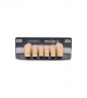 NEO LIGN A TOOTH ANT D38 LOWER D3 6 pc ASST 43, 42, 41, 31, 32, 33
