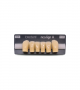 NEO LIGN A TOOTH ANT D38 LOWER D4 6 pc ASST 43, 42, 41, 31, 32, 33